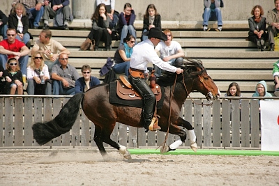 Tape Isidoro Reining 400