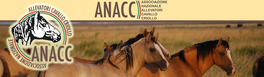 ANACC